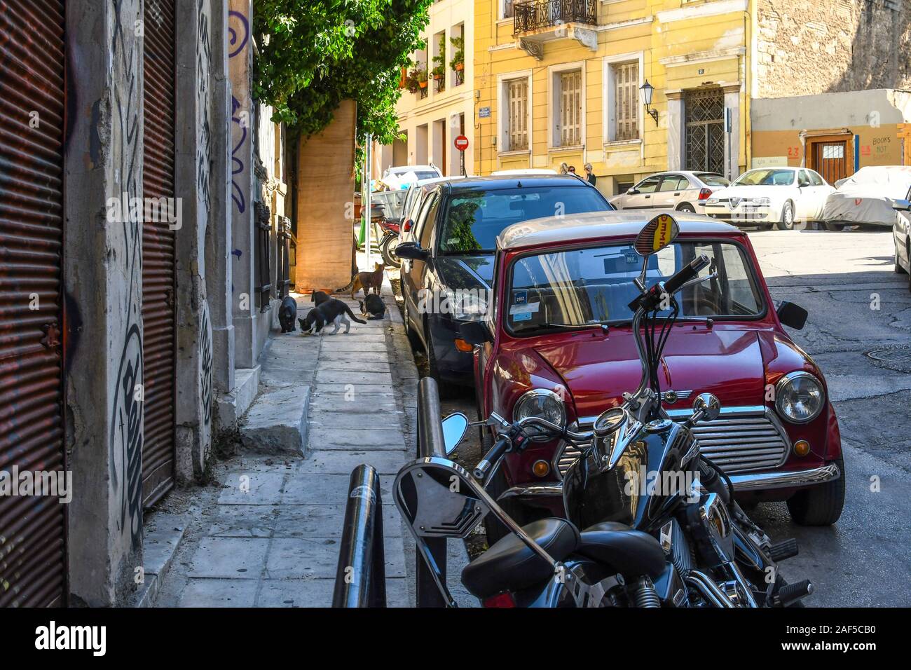 Un groupe de chats sort d'une attente dans un mur sur un trottoir dans la région de Plaka d'Athènes, Grèce. Banque D'Images