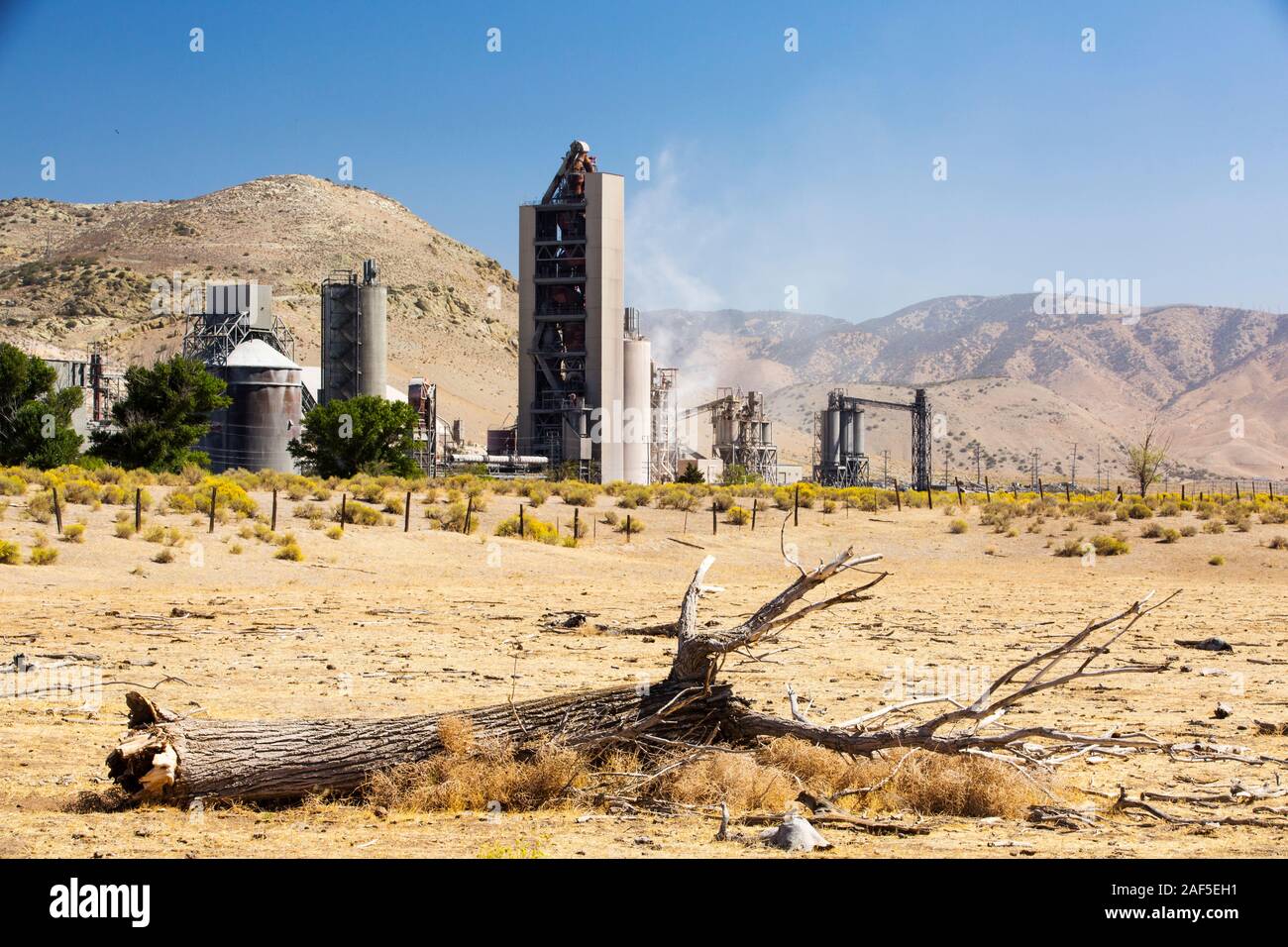 Une cimenterie à Tehachapi Pass, Californie USA, avec la sécheresse a tué les arbres en premier plan. La production de ciment est l'un des plus avides de carbone l'indu Banque D'Images