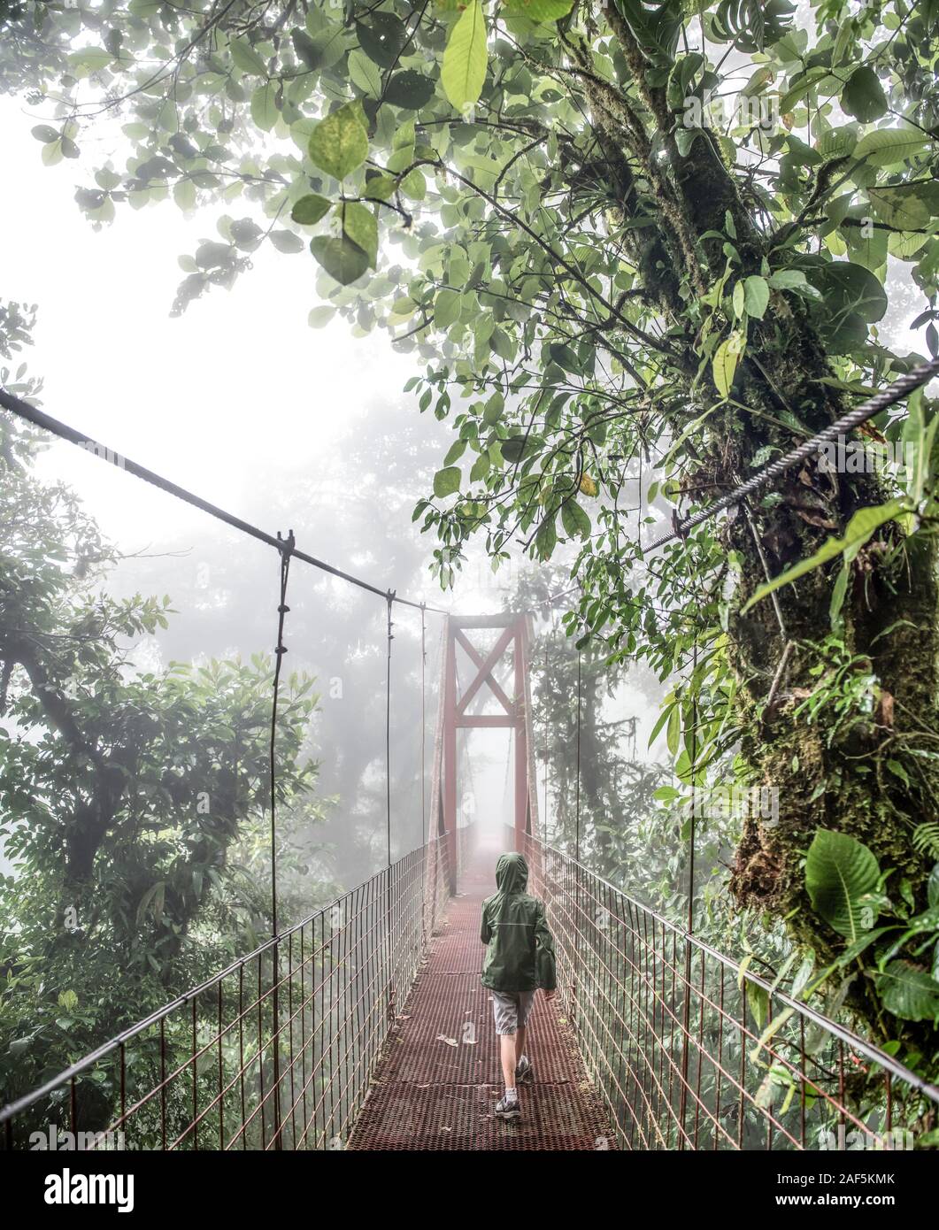 Un garçon marche à travers un pont dans la Forêt Nuageuse de Monteverde Banque D'Images