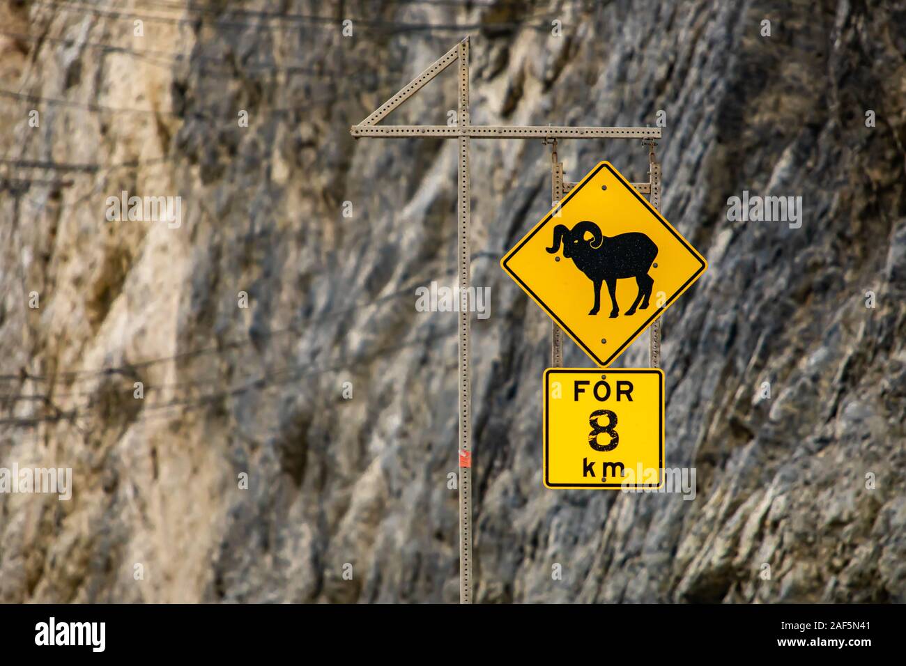 Mouflons Crossing road sign, pour 8 km de routes jaune d'avertissement d'une signalisation selective focus view avec pente rocheuse background Banque D'Images