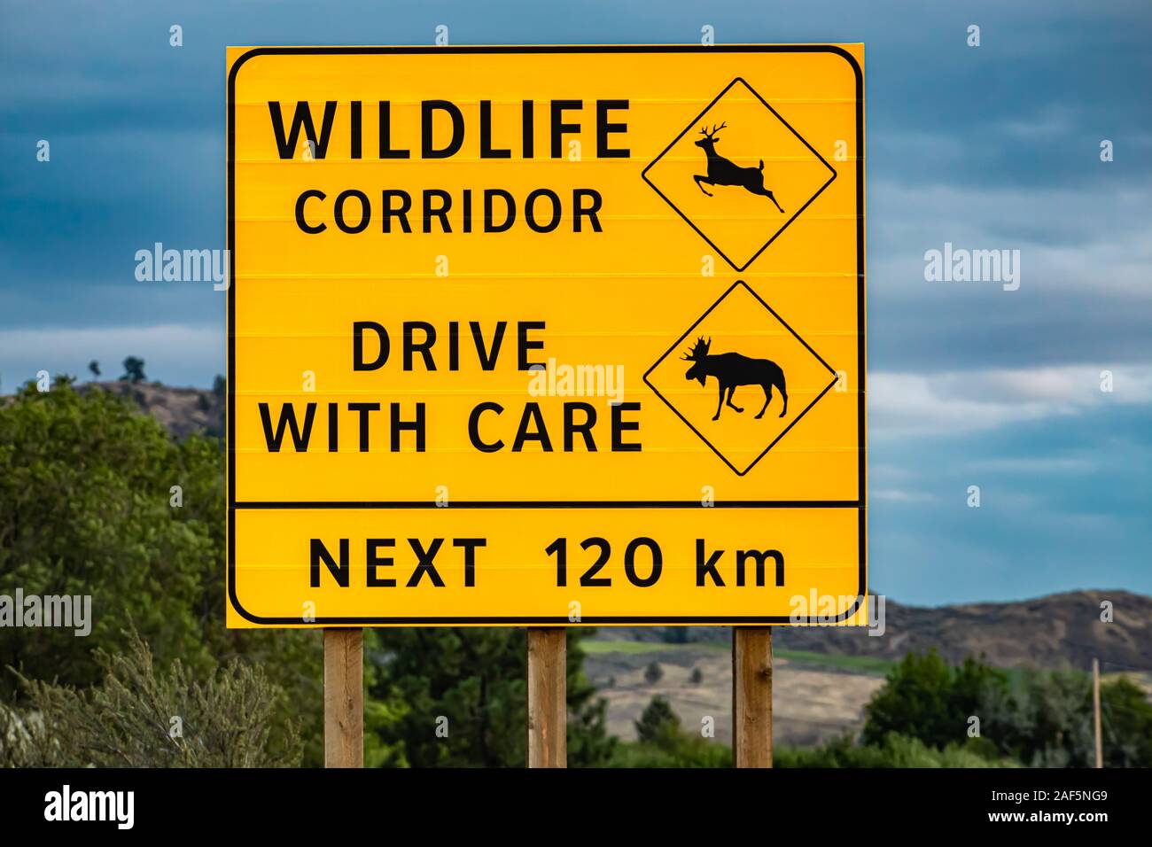 Big Yellow warning road Sign, corridor, dur avec précaution, les 120 km. avec le cerf et l'orignal de symboles, sur le bord de la route en milieu rural canadien Banque D'Images