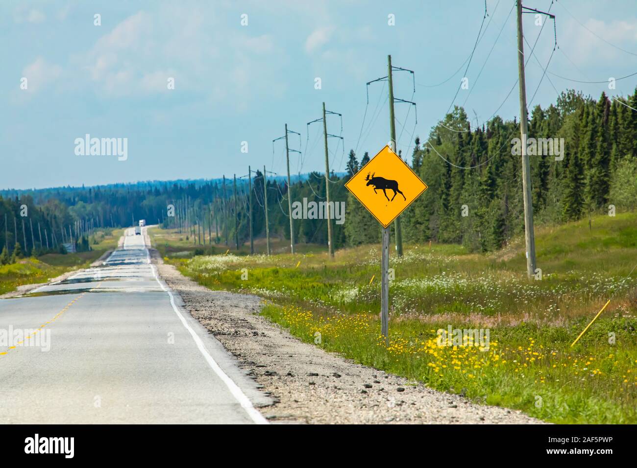 Avertissement pour les orignaux traversent la route, un signe sur la route avec les tours de transmission et de pins forêt en arrière-plan Banque D'Images