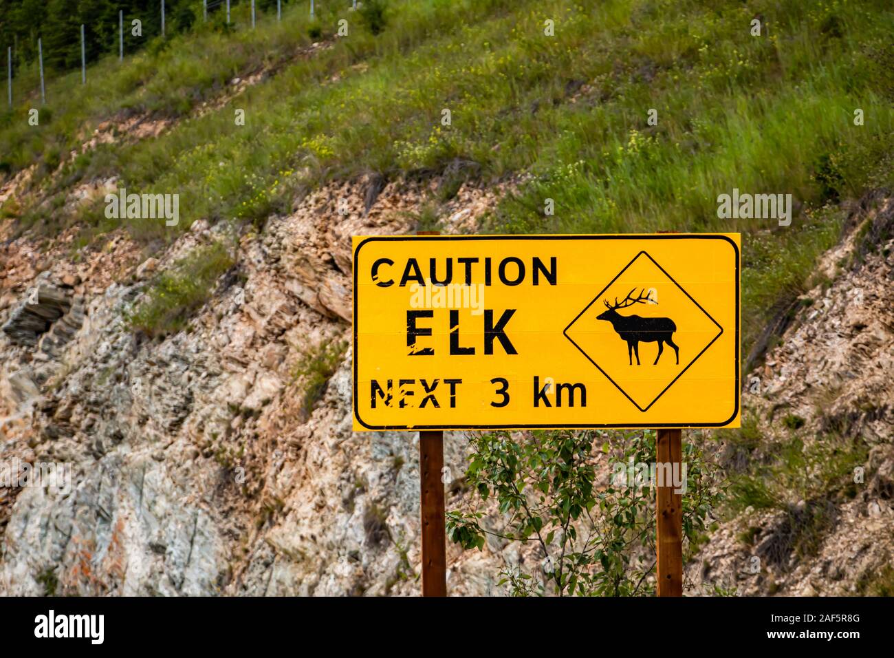 Avertissement Attention route panneau jaune, elk Crossing Road, près de 3 km avec un wapiti, symbole pays rural canadien, en bordure de la pente rocheuse avec arrière-plan Banque D'Images
