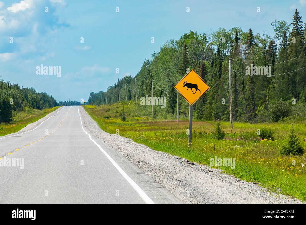 Vue de la route vide, avec un avertissement de moose crossing the road sign avec les tours de transmission et de pins sur le bord de la forêt Banque D'Images