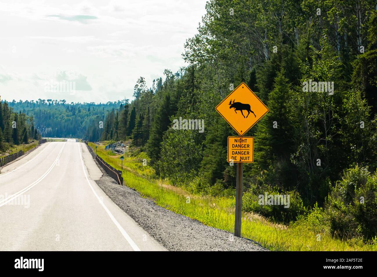 Route vide, avec un avertissement pour les orignaux traversent la route, danger nuit affiche bilingue, vue sur la forêt de pins des routes Banque D'Images