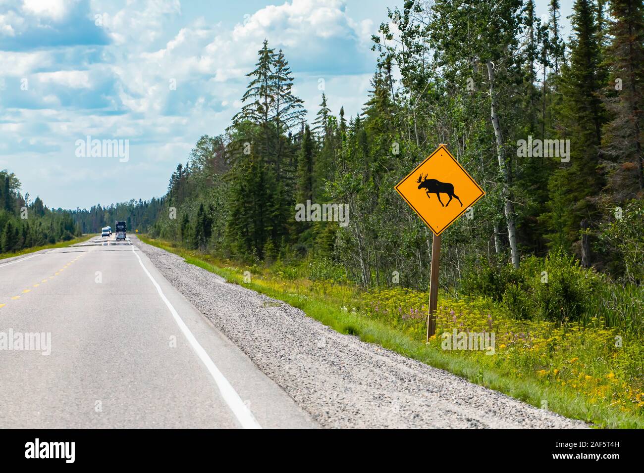 Avertissement de moose crossing the road sign, forêt de pins sur le bord des routes, les véhicules sur les routes rurales au cours d'une journée ensoleillée Banque D'Images