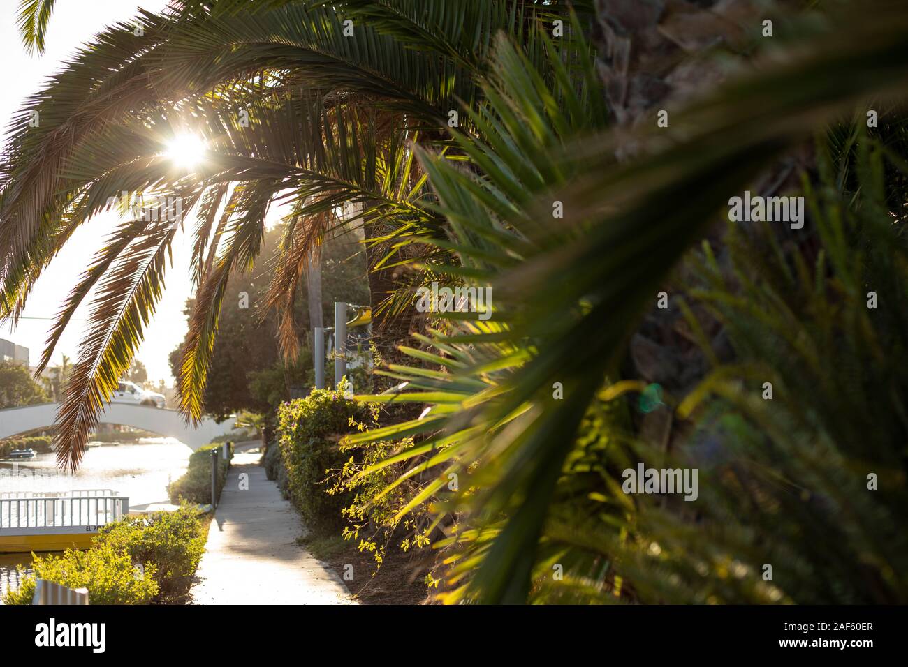 Les canaux de Venice Beach à Los Angeles, Californie Banque D'Images