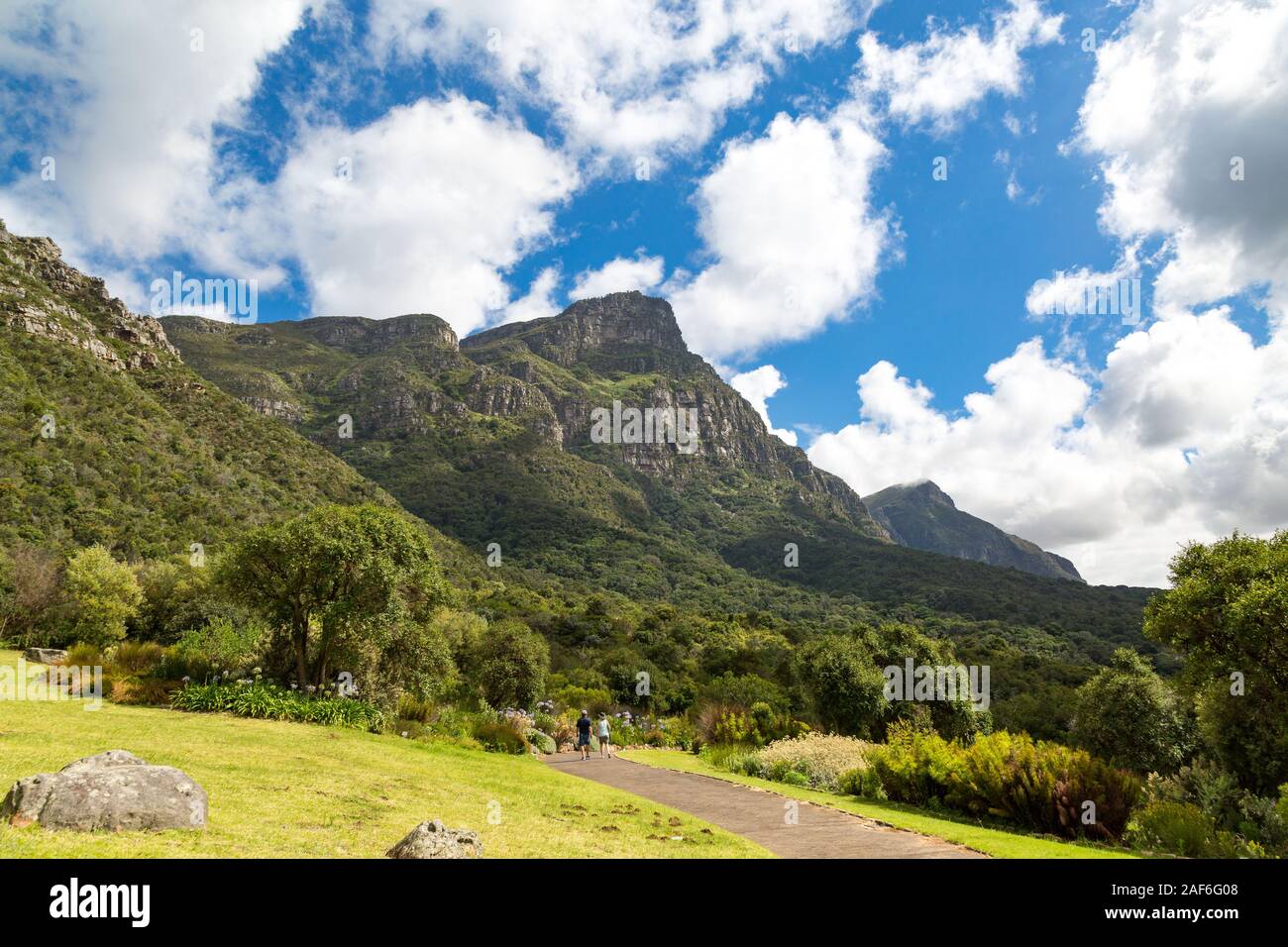 Vue depuis le jardin botanique de Kirstenbosch les montagnes et de la forêt sur une journée ensoleillée, Le Cap, Afrique du Sud Banque D'Images