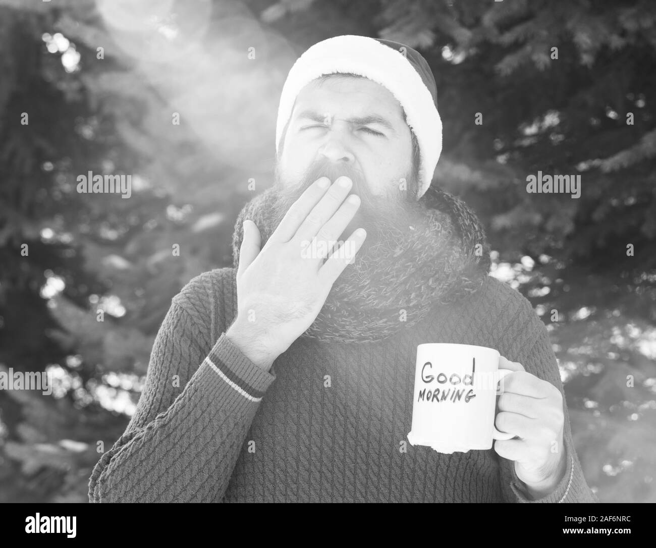 Le bâillement bel homme à santa claus hat, hipster barbu avec barbe et moustache, souffre d'une boisson chaude dans la tasse avec bon matin texte sur d'hiver ensoleillée journée de plein air sur l'arrière-plan naturel Banque D'Images