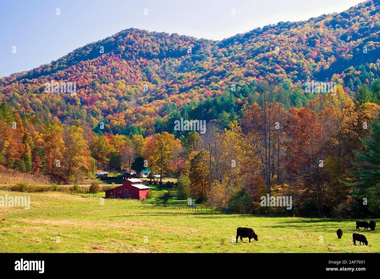 Vue d'automne sur les terres agricoles de la forêt nationale de Nantahala, Caroline du Nord, États-Unis. Banque D'Images