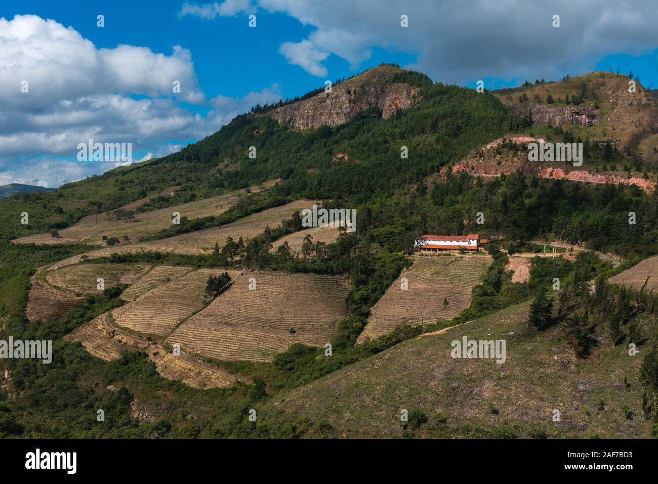 Vignoble dans le paysage vallonné autour du site historique El Fuerte, Samaipata, patrimoine historique de l'Unesco, département de Santa Cruz, Bolivie, Amérique Latine Banque D'Images
