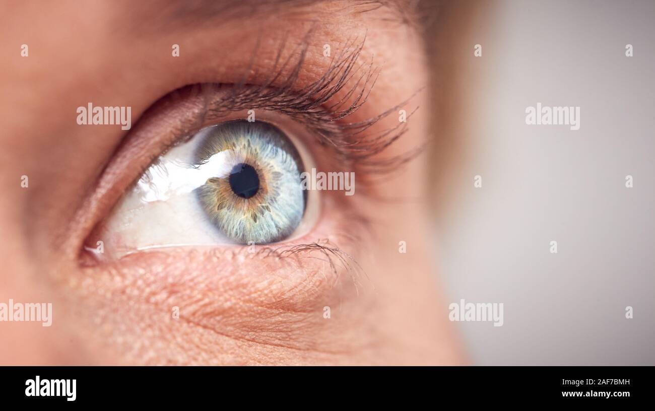 Extreme Close Up of Eye Of Woman Against White Background Studio Banque D'Images