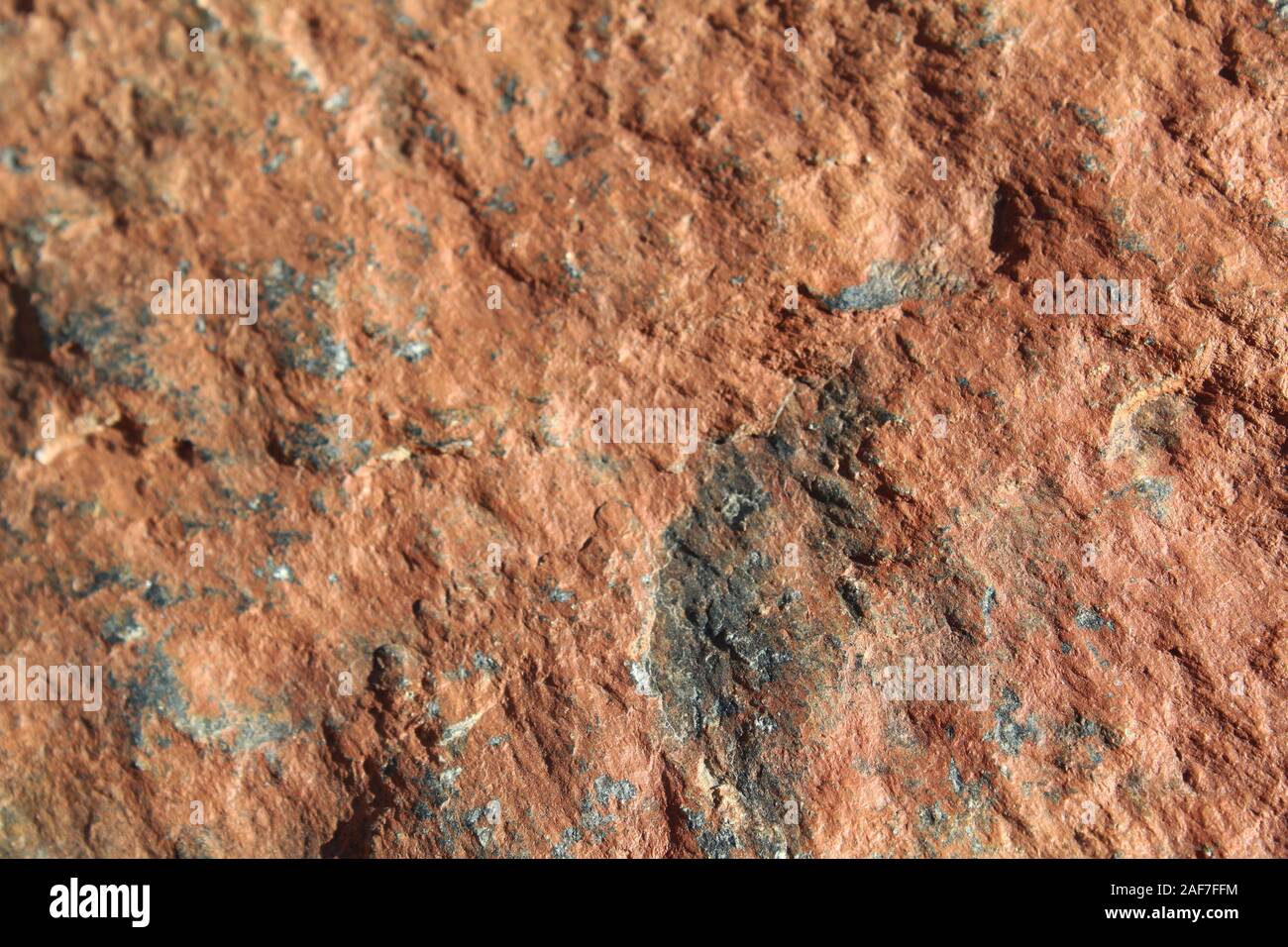 Ces roches, près de la mine de cheval perdu Joshua Tree National Park, éventuellement en temps de la nourriture pour les plantes indigènes du sud du désert de Mojave. Banque D'Images
