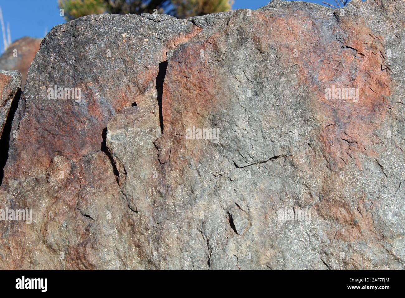 Ces roches, près de la mine de cheval perdu Joshua Tree National Park, éventuellement en temps de la nourriture pour les plantes indigènes du sud du désert de Mojave. Banque D'Images