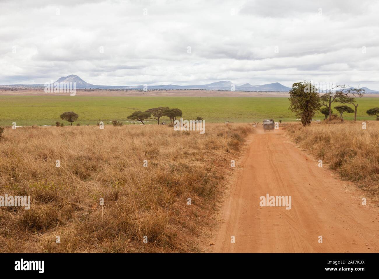 La Tanzanie. Parc national de Tarangire. La route de Silale Swamp de pique-nique, sous les arbres. Banque D'Images