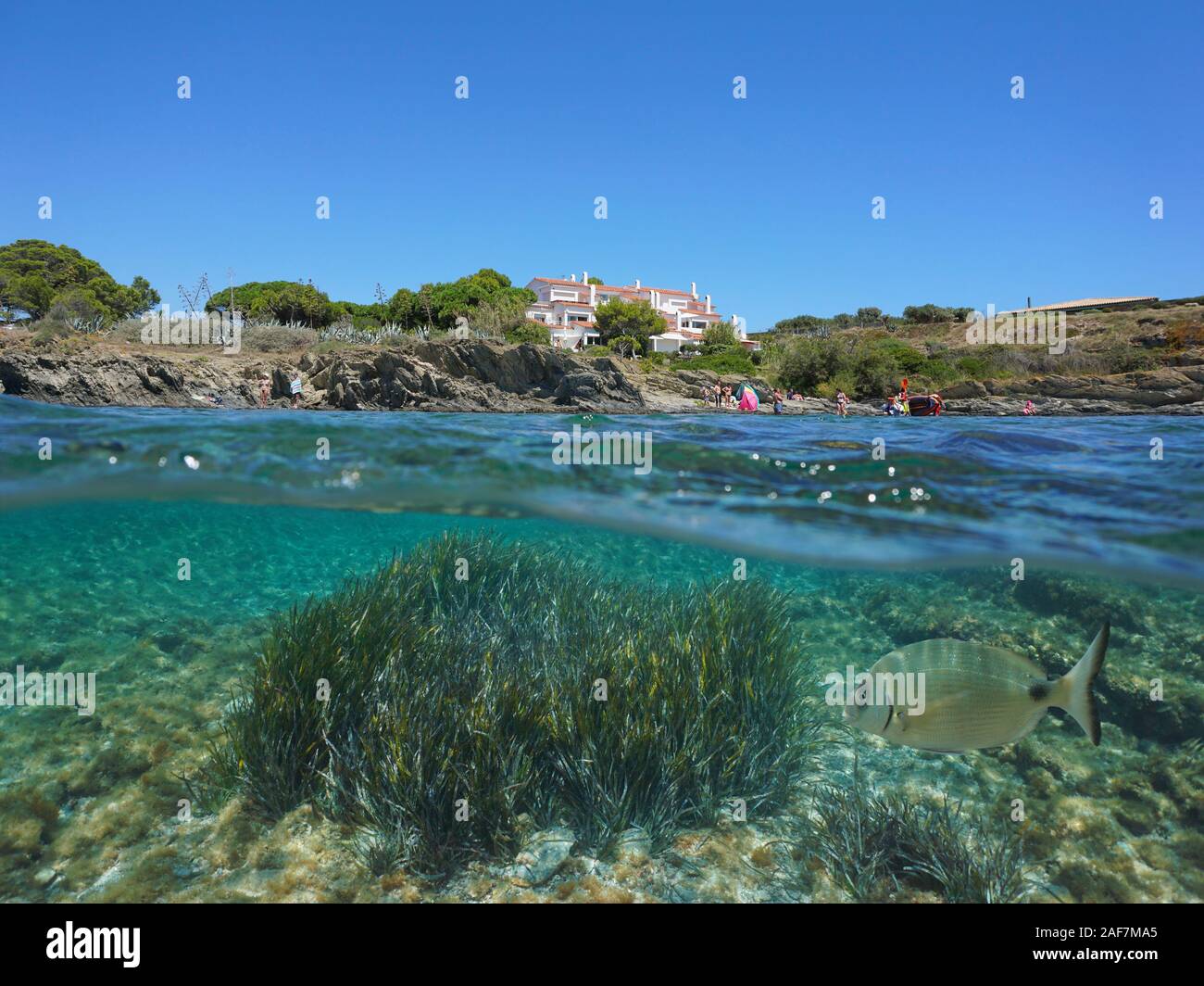 Mer Méditerranée dans les vacances d'été, côte rocheuse avec un bâtiment et les herbiers marins avec un poisson sous l'eau, Espagne, Cadaques, Costa Brava, fractionnée Banque D'Images