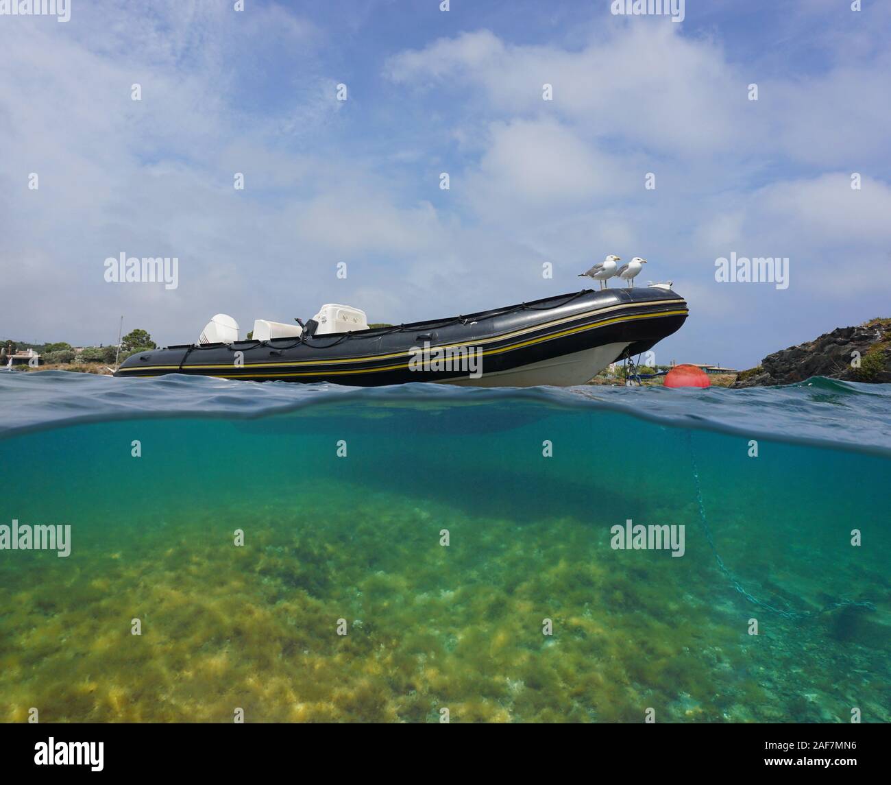 Un bateau gonflable rigide amarré avec deux goélands, fractionnée sur et sous la surface de l'eau, mer Méditerranée, l'Espagne, Cadaques, Costa Brava, Catalogne Banque D'Images