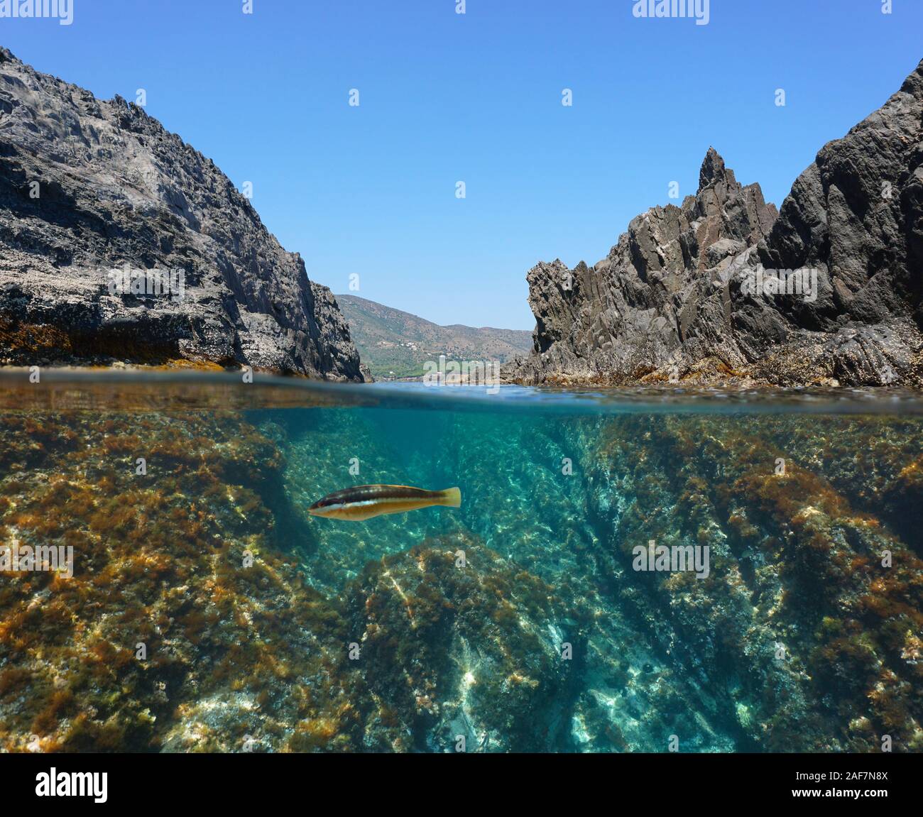 Côte Rocheuse avec un passage entre les rochers, fractionnée sur et sous la surface de l'eau, mer Méditerranée, Espagne, Costa Brava, El Port de la Selva Banque D'Images