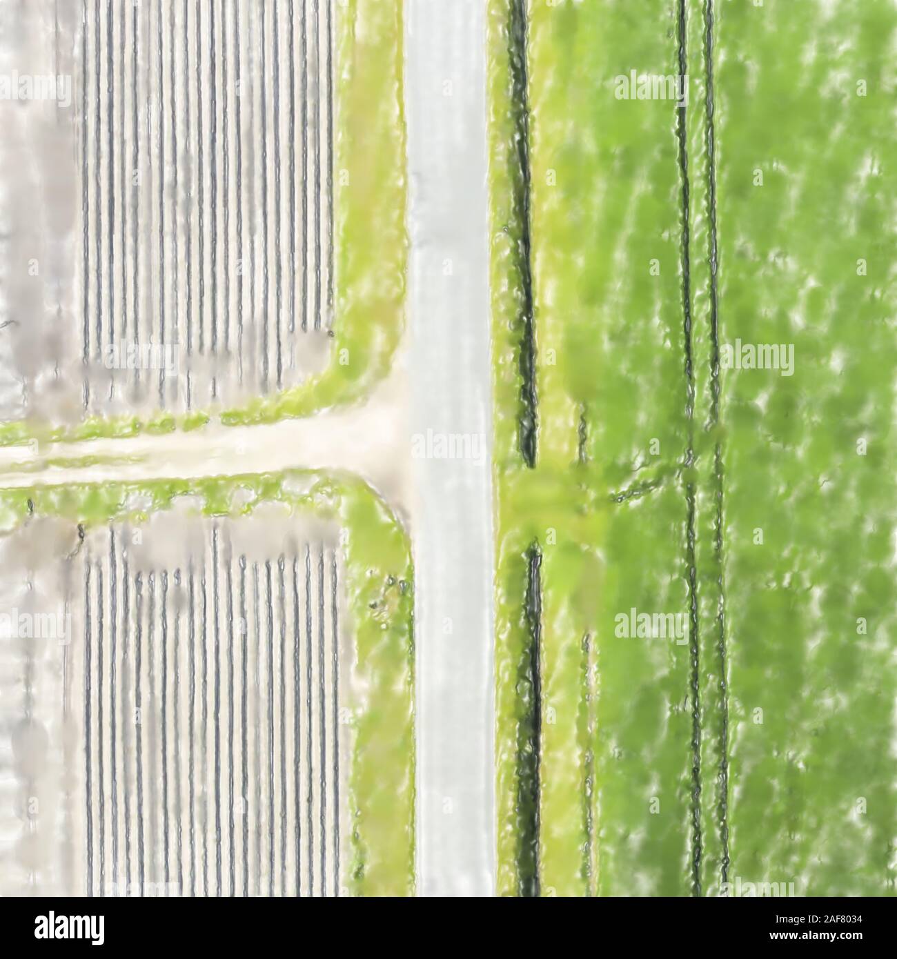 Illustration à l'aquarelle : Abstract photo aérienne d'une étroite route asphaltée gris chemin menant le long d'un champ avec les jeunes plants de blé vert et un labourée Banque D'Images