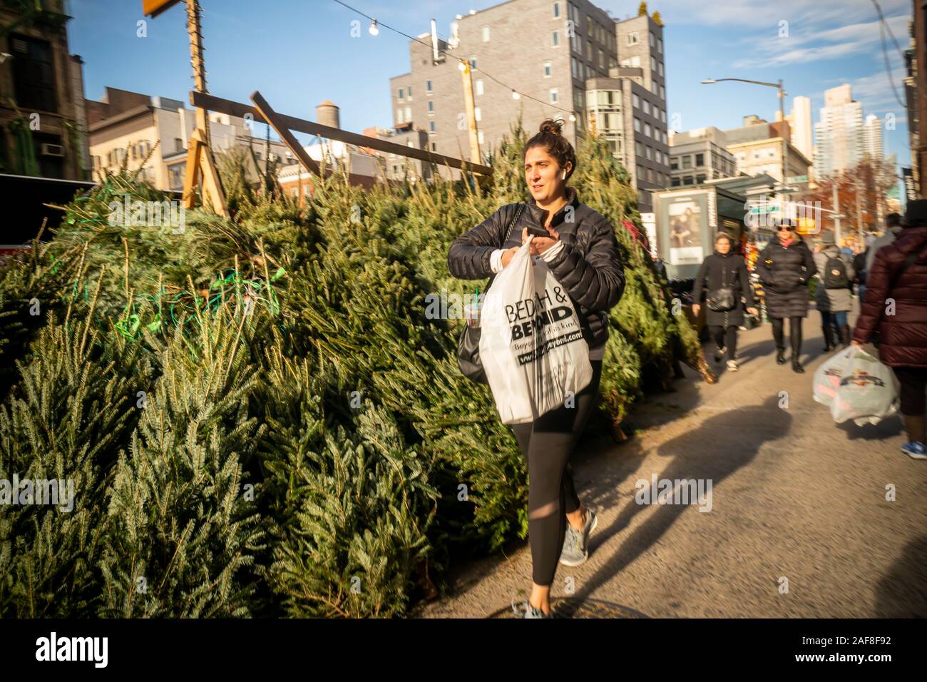 Un vendeur d'arbres de Noël dans le quartier de Chelsea, New York le Samedi, Décembre 7, 2019. La rareté est rapporté comme étant la raison pour l'arbre de Noël au plus haut prix, moins d'arbres ont été plantés au cours de la grande récession de 2008, les arbres seraient qui arrivent à échéance cette année. (© Richard B. Levine) Banque D'Images