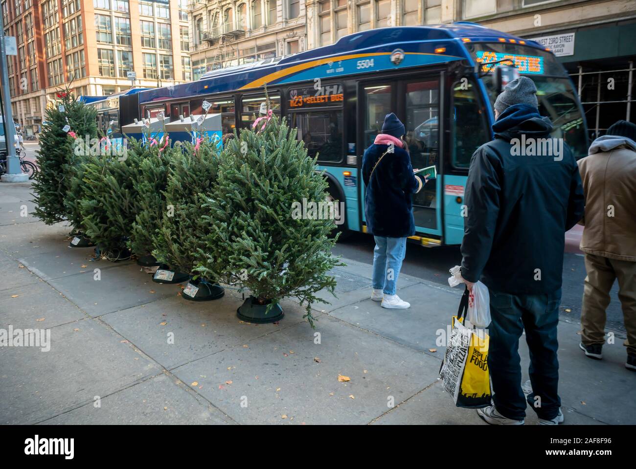 Les arbres de Noël vendus par un traiteur en face d'un bus haut dans le quartier de Chelsea, New York le Samedi, Décembre 7, 2019. La rareté est rapporté comme étant la raison pour l'arbre de Noël au plus haut prix, moins d'arbres ont été plantés au cours de la grande récession de 2008, les arbres seraient qui arrivent à échéance cette année. (© Richard B. Levine) Banque D'Images