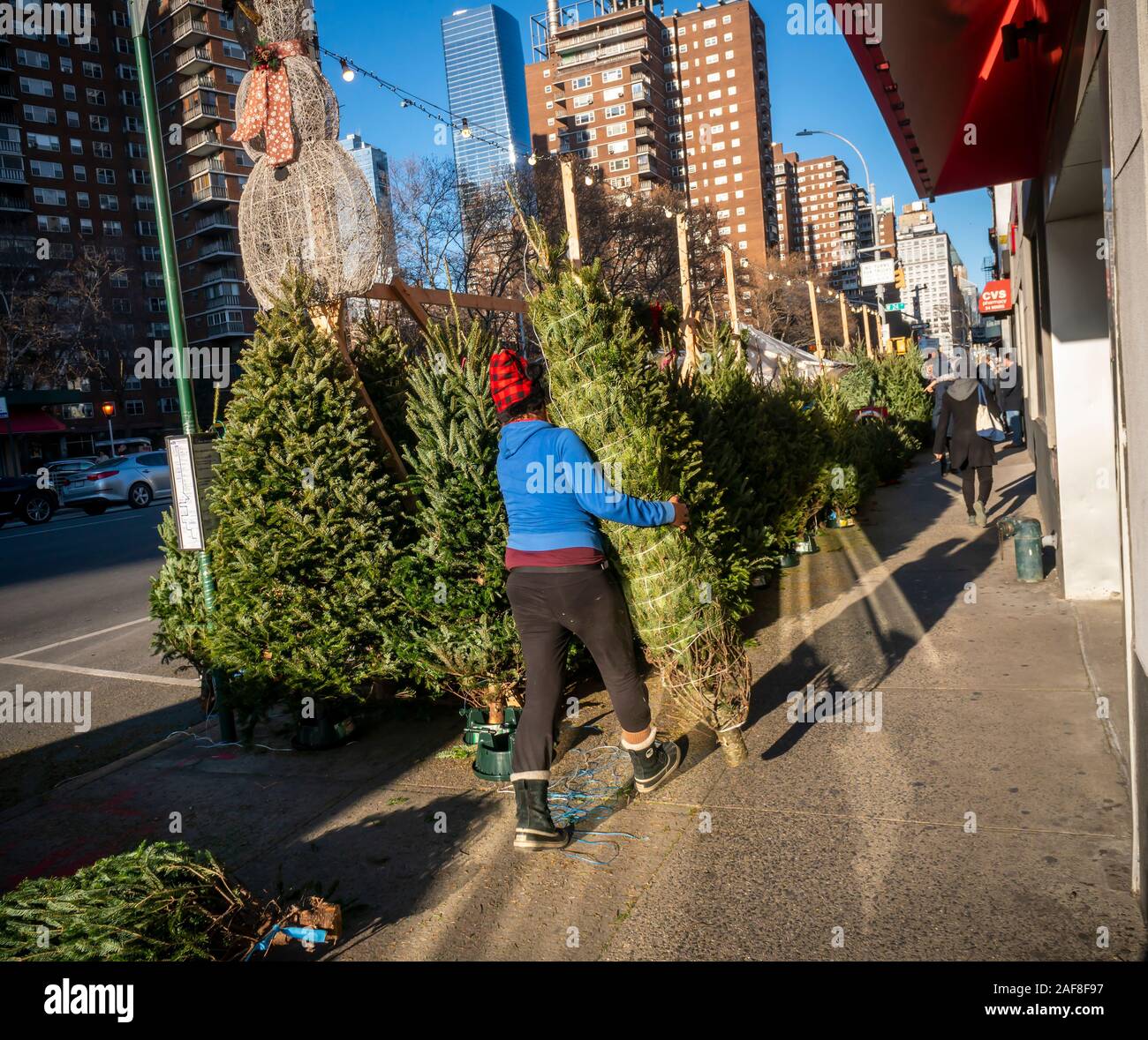 Un vendeur d'arbres de Noël dans le quartier de Chelsea, New York le Samedi, Décembre 7, 2019. La rareté est rapporté comme étant la raison pour l'arbre de Noël au plus haut prix, moins d'arbres ont été plantés au cours de la grande récession de 2008, les arbres seraient qui arrivent à échéance cette année. (© Richard B. Levine) Banque D'Images