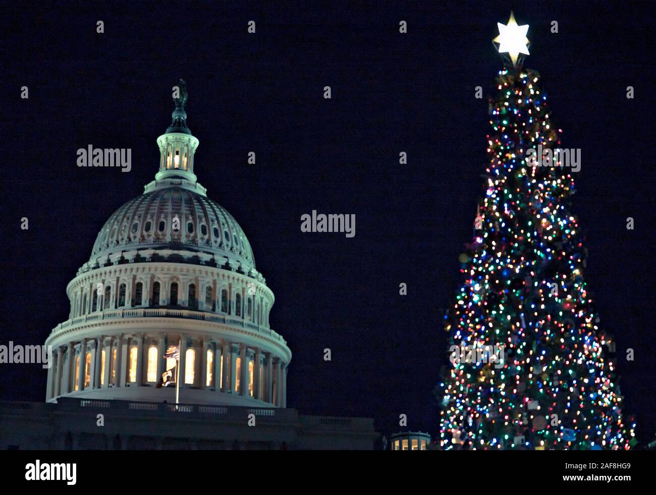 Le Capitole de l'arbre de Noël s'allume avec fairy lights colorés avec le bâtiment de Capitol dome derrière pendant le congrès annuel de la cérémonie d'éclairage de l'arbre de Noël Capitol sur la pelouse de l'ouest du bâtiment de Capitol 4 décembre 2019 à Washington DC. Banque D'Images