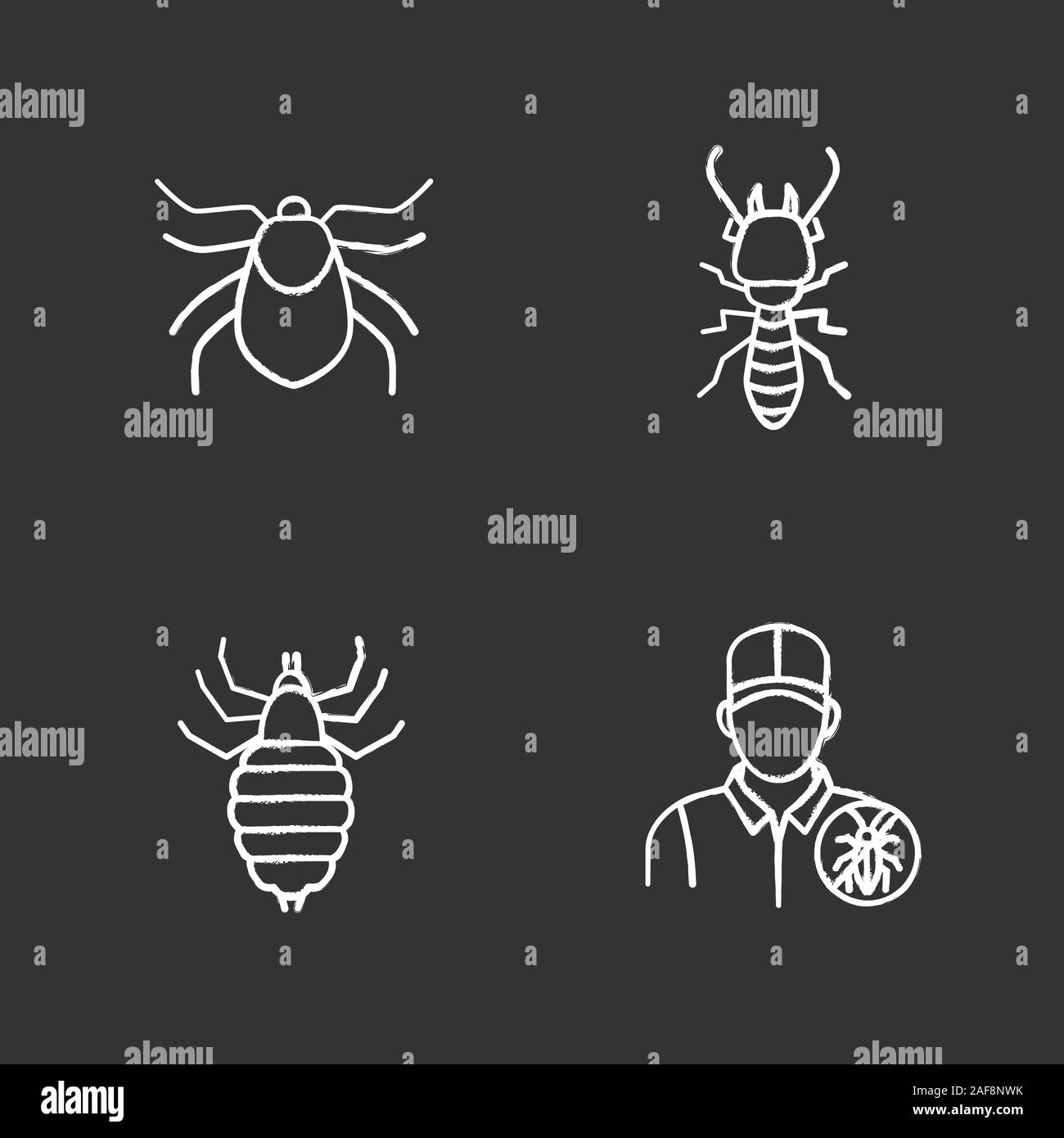 Chalk antiparasitaires icons set. Mite, termite, exterminateur, pou. Illustrations vectorielles chalkboard Illustration de Vecteur