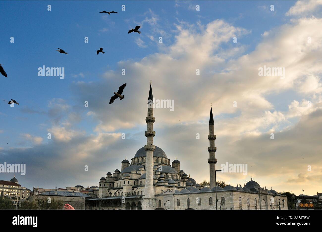 Yeni Camii, la mosquée d'Istanbul. La Turquie Banque D'Images