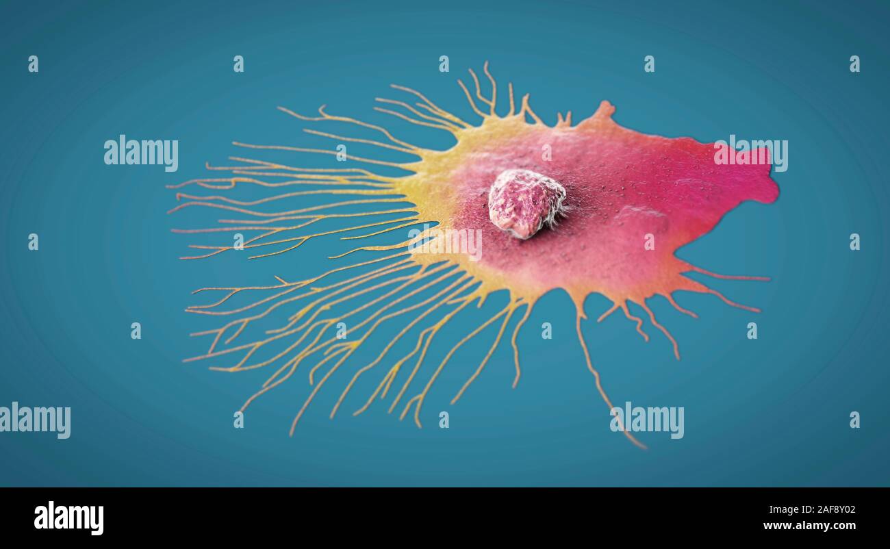 La migration des cellules de cancer du sein, illustration Banque D'Images