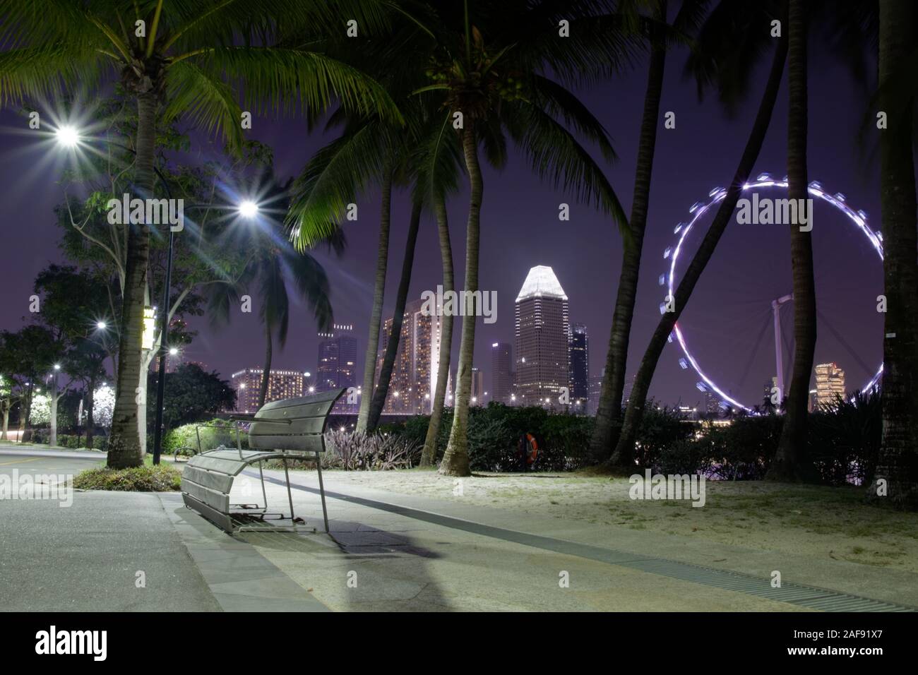 Flayer allégé, roue pendant la nuit entouré de palmiers au cours de la nuit dans les jardins de la baie à Singapour Banque D'Images