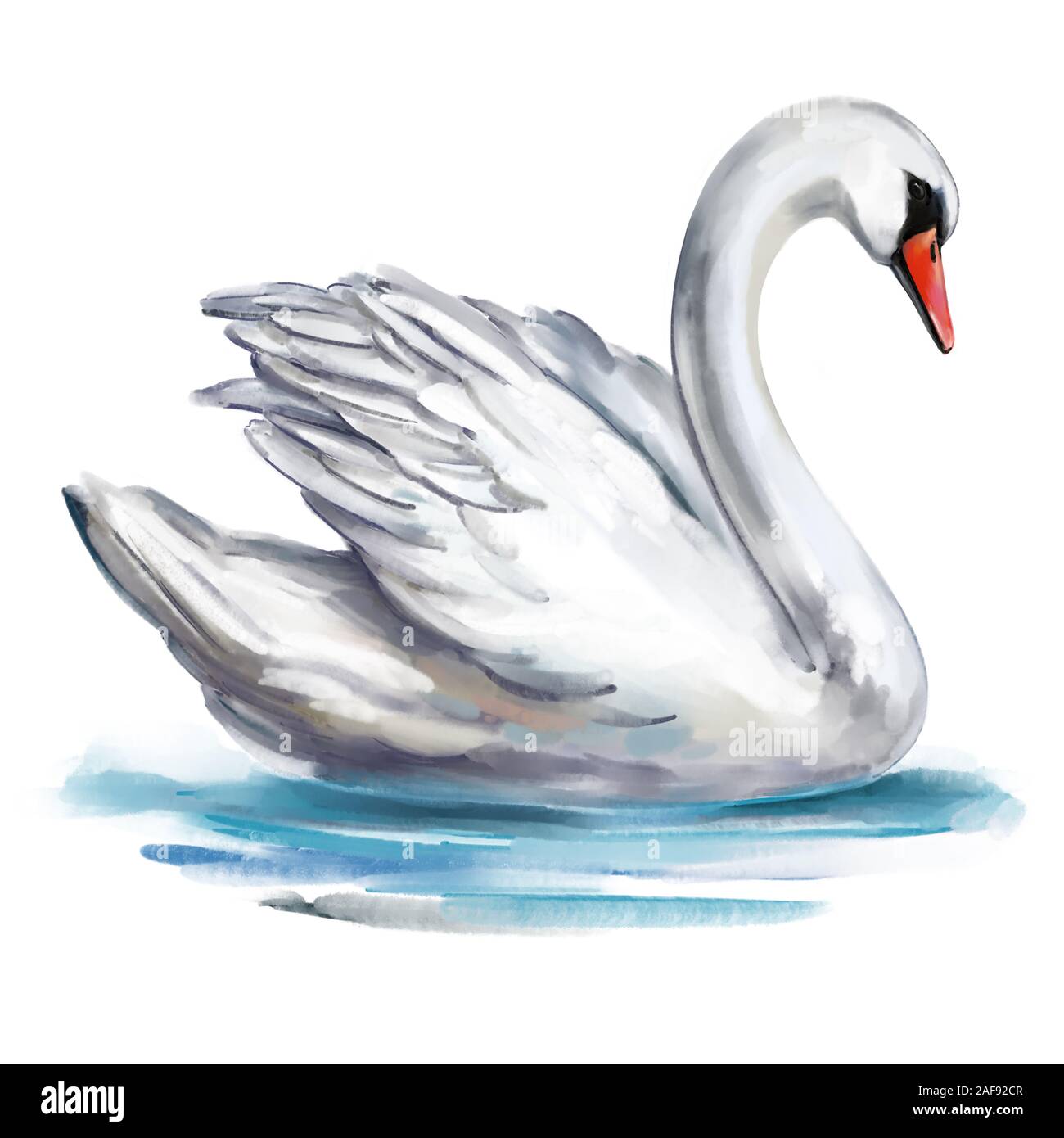 White Swan bird sur l'étang, de l'art illustration peinte avec aquarelles isolé sur fond blanc. Banque D'Images