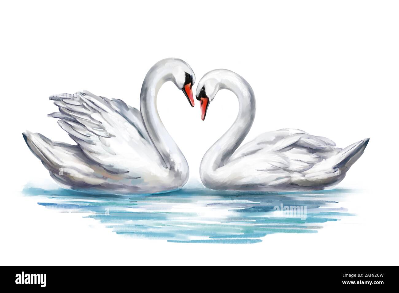 Deux oiseaux Cygne blanc sur un étang ensemble, symbole de l'amour, la Saint-Valentin, carte mariage, illustration de l'art peint à l'aquarelle isolated on white ba Banque D'Images