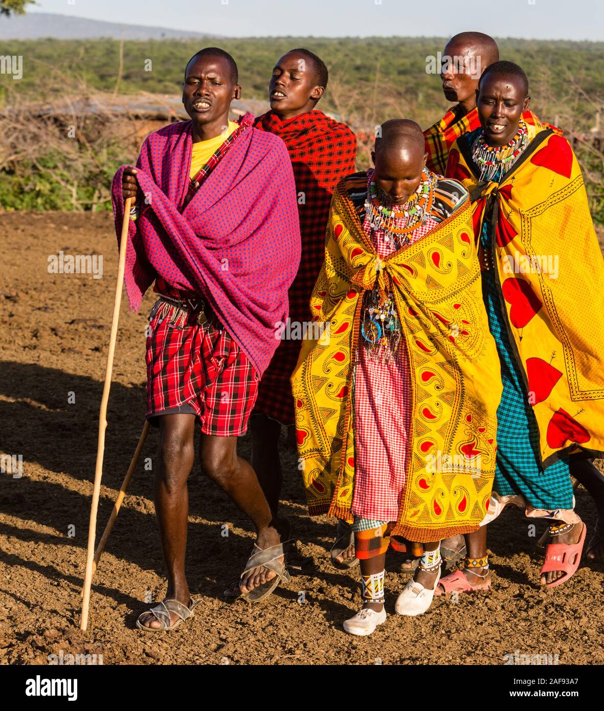 La Tanzanie. Village massaï de Ololosokwan, Nord de Serengeti. Les villageois l'exécution de Danse de bienvenue. Banque D'Images