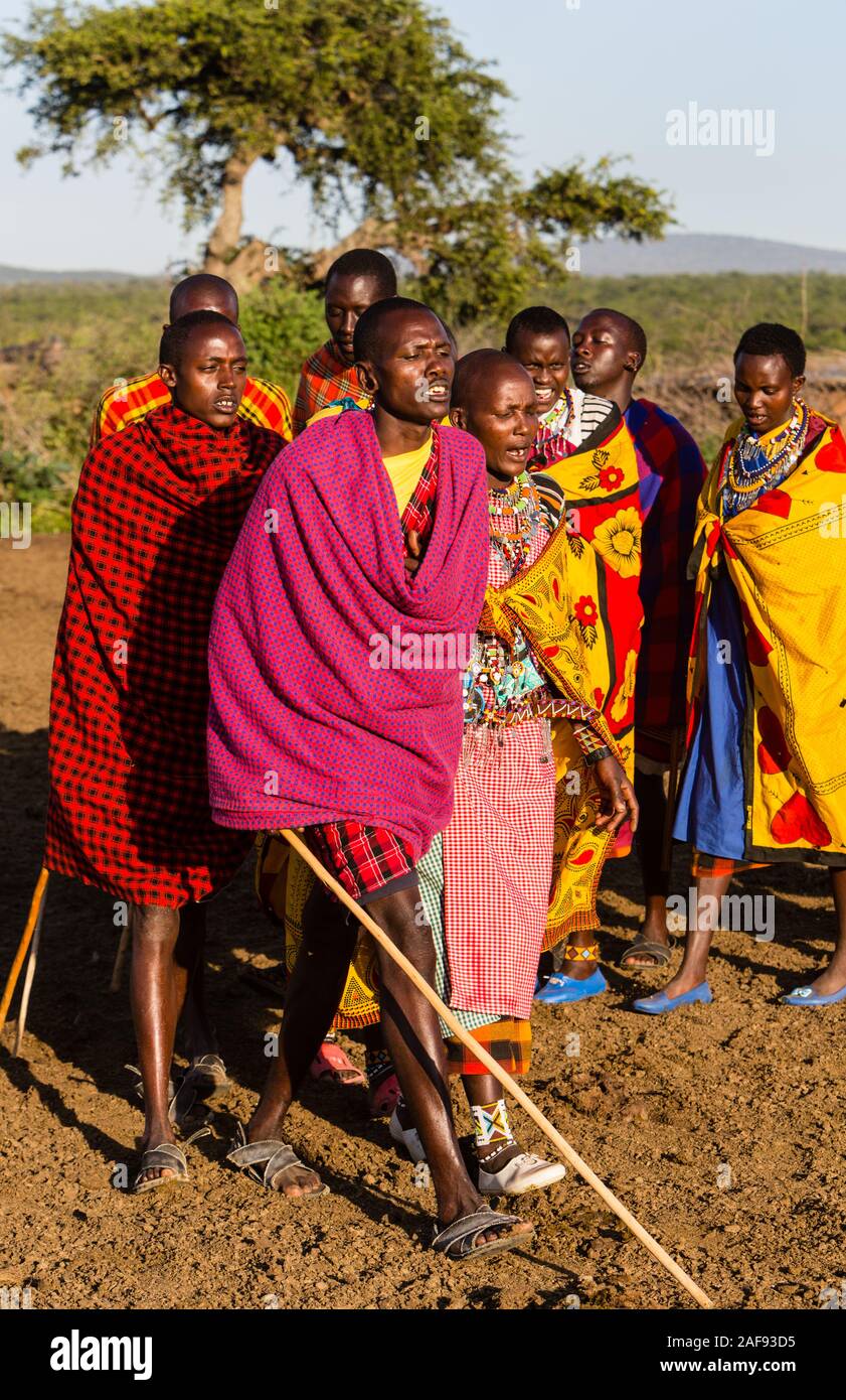 La Tanzanie. Village massaï de Ololosokwan, Nord de Serengeti. Les villageois l'exécution de Danse de bienvenue. Banque D'Images