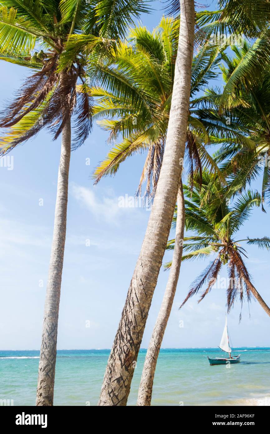 Un traditionnel en bois de style saveiro Caraïbes voile Bateau amarré au large de Nortnern End beach, Little Corn Island, du Nicaragua Caraïbes Banque D'Images