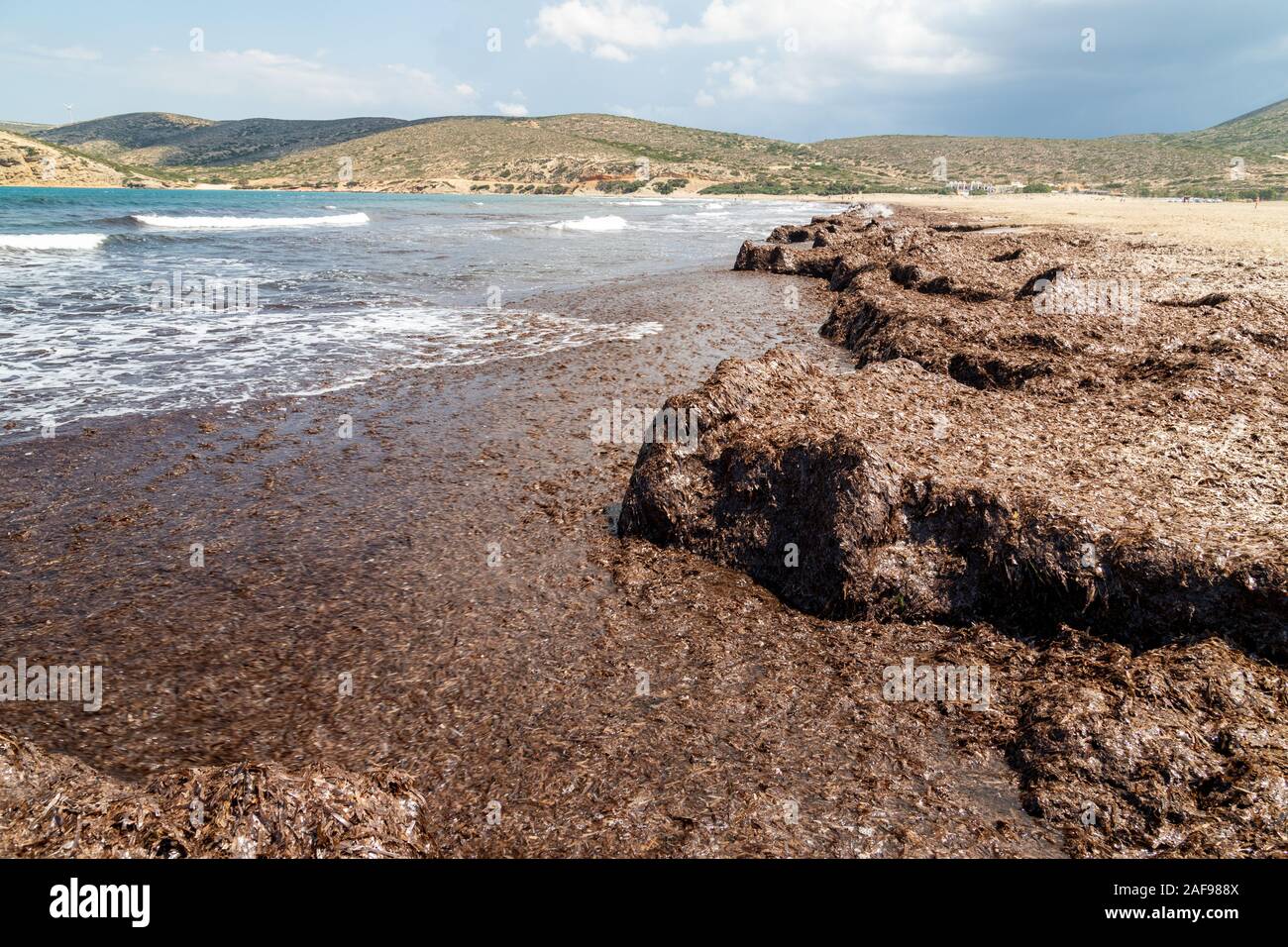 La section de plage d'une algue brune et de l'eau vagues au large de la péninsule de Prasonisi dans le sud de l'île de Rhodes, Grèce Banque D'Images