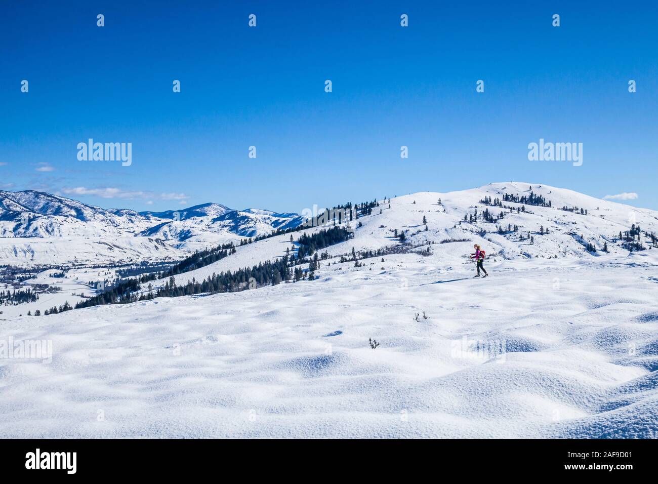 Une femme d'âge moyen sur les pistes de cross dans la vallée de Methow jusqu'près de Sun Mountain Lodge (Winthrop / Twisp, Washington, salon, USA). Banque D'Images
