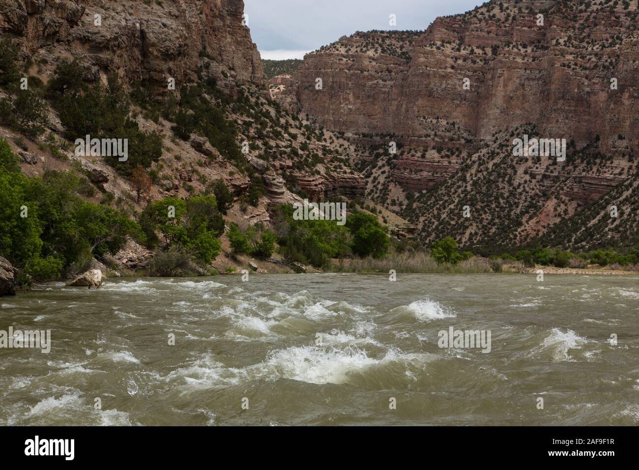 Les falaises du canyon Whirpool sur la rivière Verte dans Dinosaur National Monument dans l'Utah. Banque D'Images