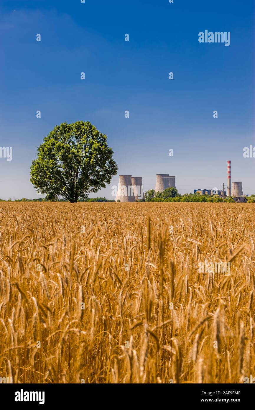 Les grandes cheminées de grande centrale électrique photographié dans une perspective avec arbre Banque D'Images