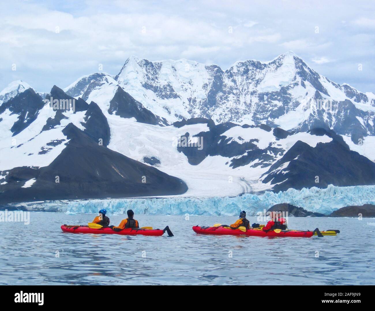 L'île de Géorgie du Sud - le 30 novembre 2010. Kayak le long de la spectaculaire côte, montagnes aux sommets enneigés et les glaciers de l'île de Géorgie du Sud. Banque D'Images