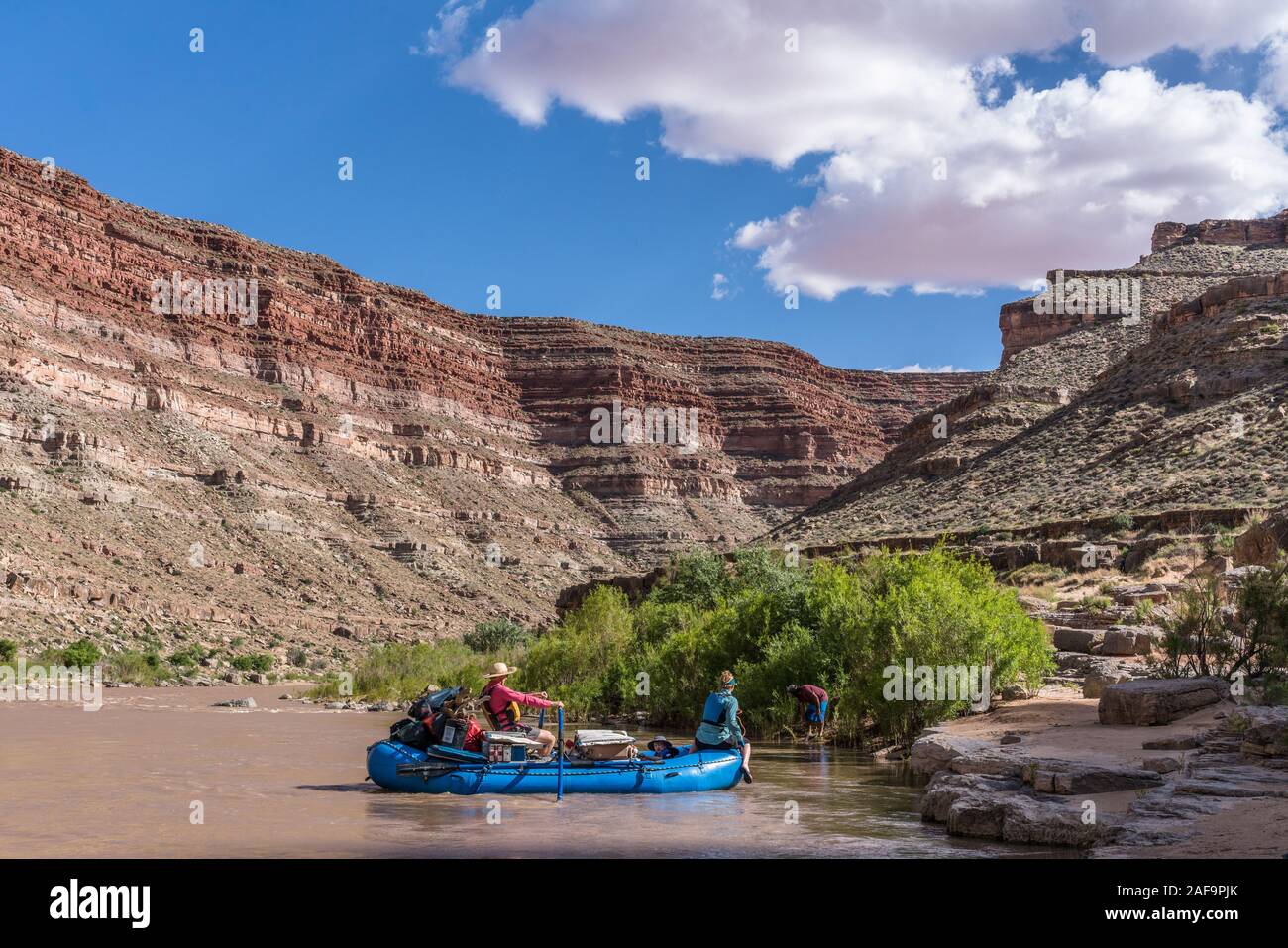 Une famille voyage de rafting dans le canyon de la Rivière San Juan, dans le sud-est de l'Utah, USA. Banque D'Images
