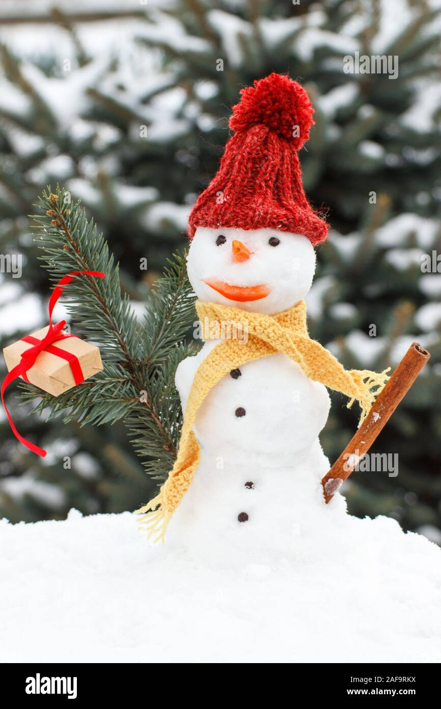 Bonhomme de neige décoré en écharpe en laine et chapeau avec cadeau pour  Noël, l'arrière-plan de neige couvertes de conifères Photo Stock - Alamy