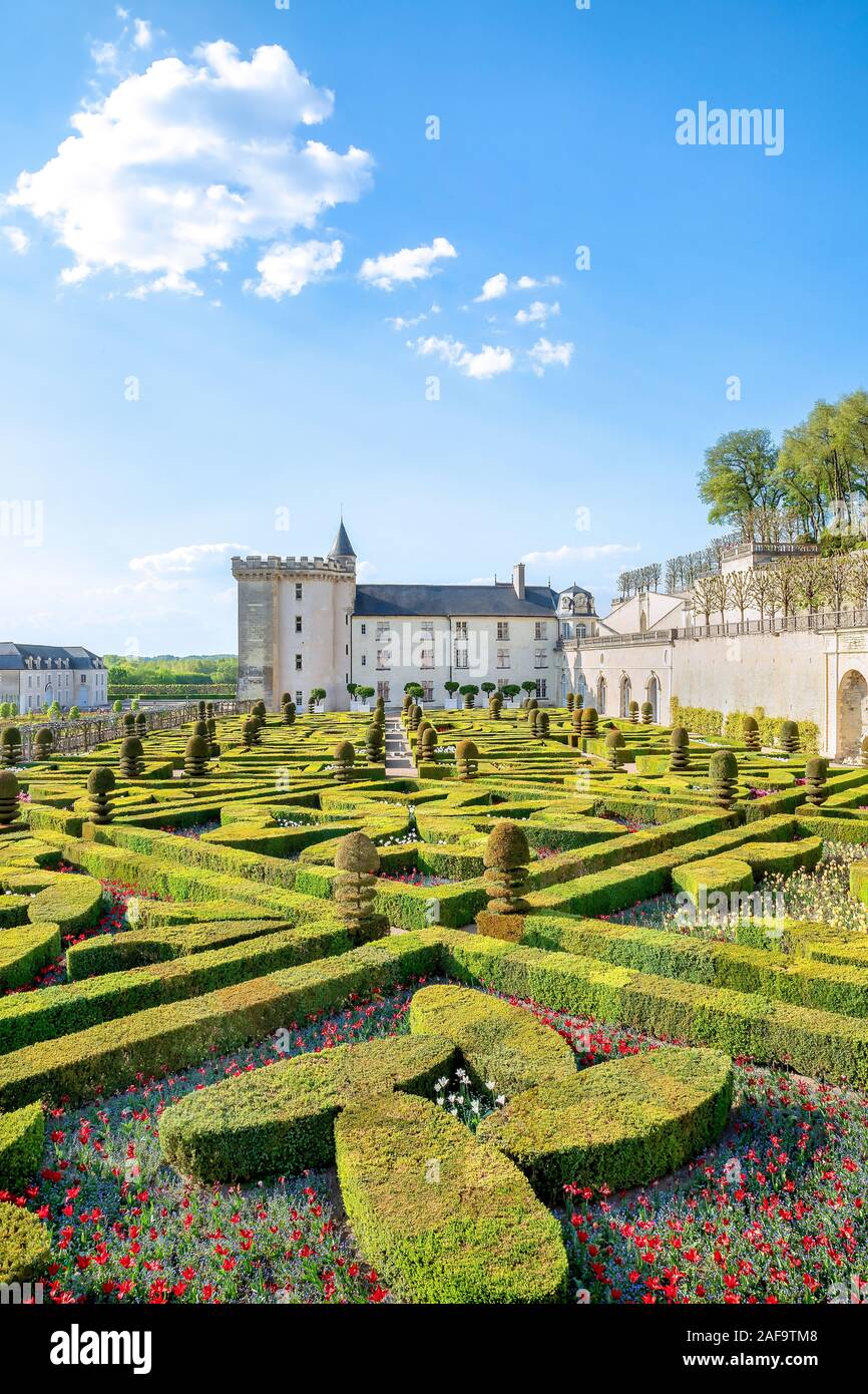 Le Château et le jardin ornemental de Villandry Banque D'Images