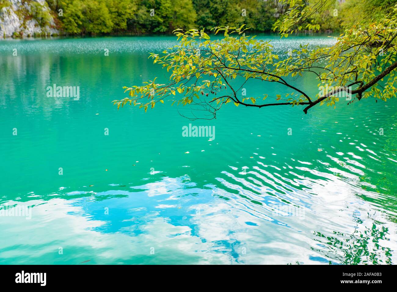 Le parc national des Lacs de Plitvice (Plitvice) avec lac turquoise, Croatie Banque D'Images