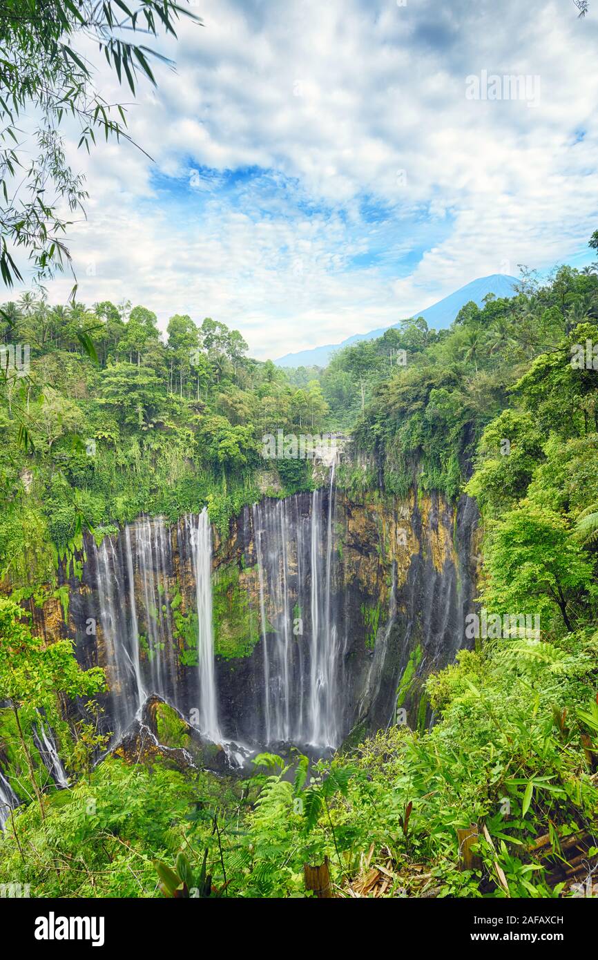(High Dynamic Range image) Superbe vue aérienne de l'Tumpak Sewu Cascades également connu sous le nom de Coban Sewu de nuages remontant du canyon. Banque D'Images