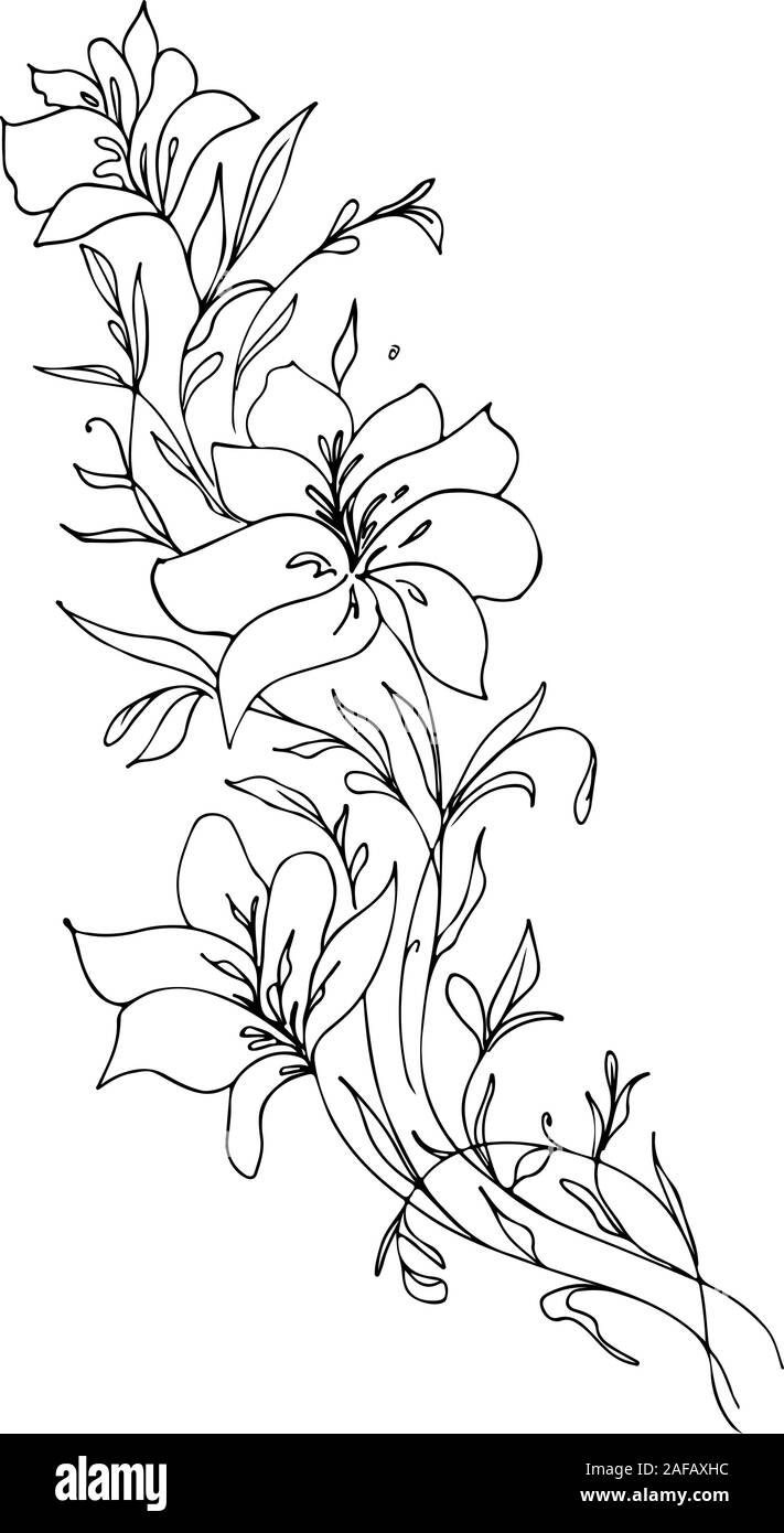 Dessinés à la main, gravée abstract orchid. Fleurs rétro contour main orchidée, grande conception pour tout usage. Contours vecteur. Arrière-plan de la nature. Scieries de pla Illustration de Vecteur