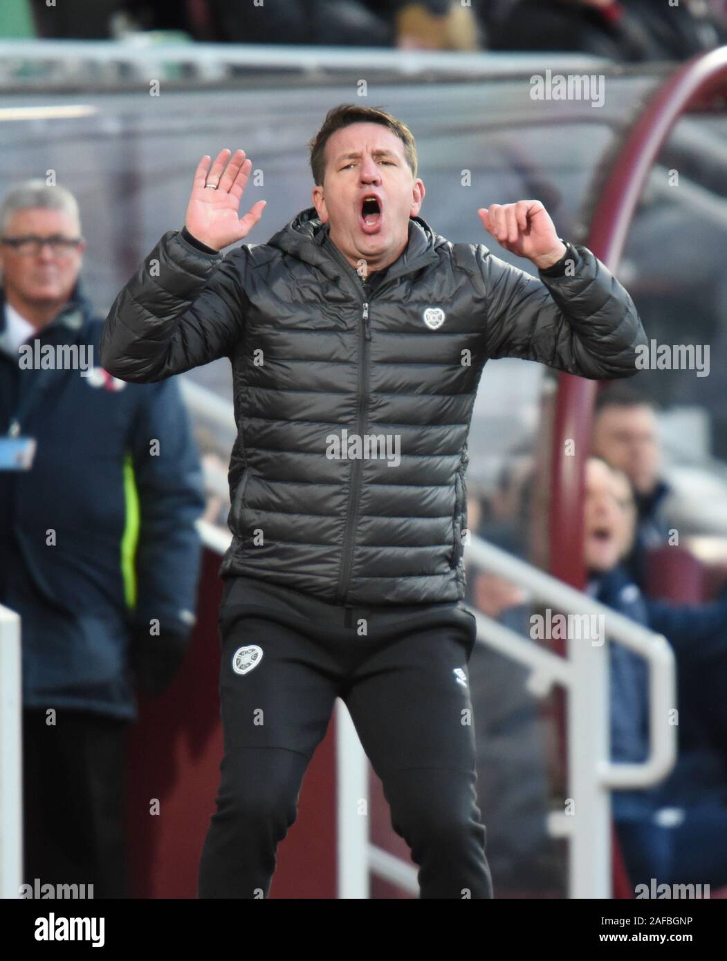 UK. 14 Décembre, 2019. Parc de Murrayfield, Edinburgh, Ecosse;UK. Coeurs 0 vs St Johnstone 1 Scottish Premiership Match Coeur Coeurs St Johnstone nouveau manager Daniel Stendel lors de la défaite à domicile St Johnstone. Crédit : eric mccowat/Alamy Live News Banque D'Images