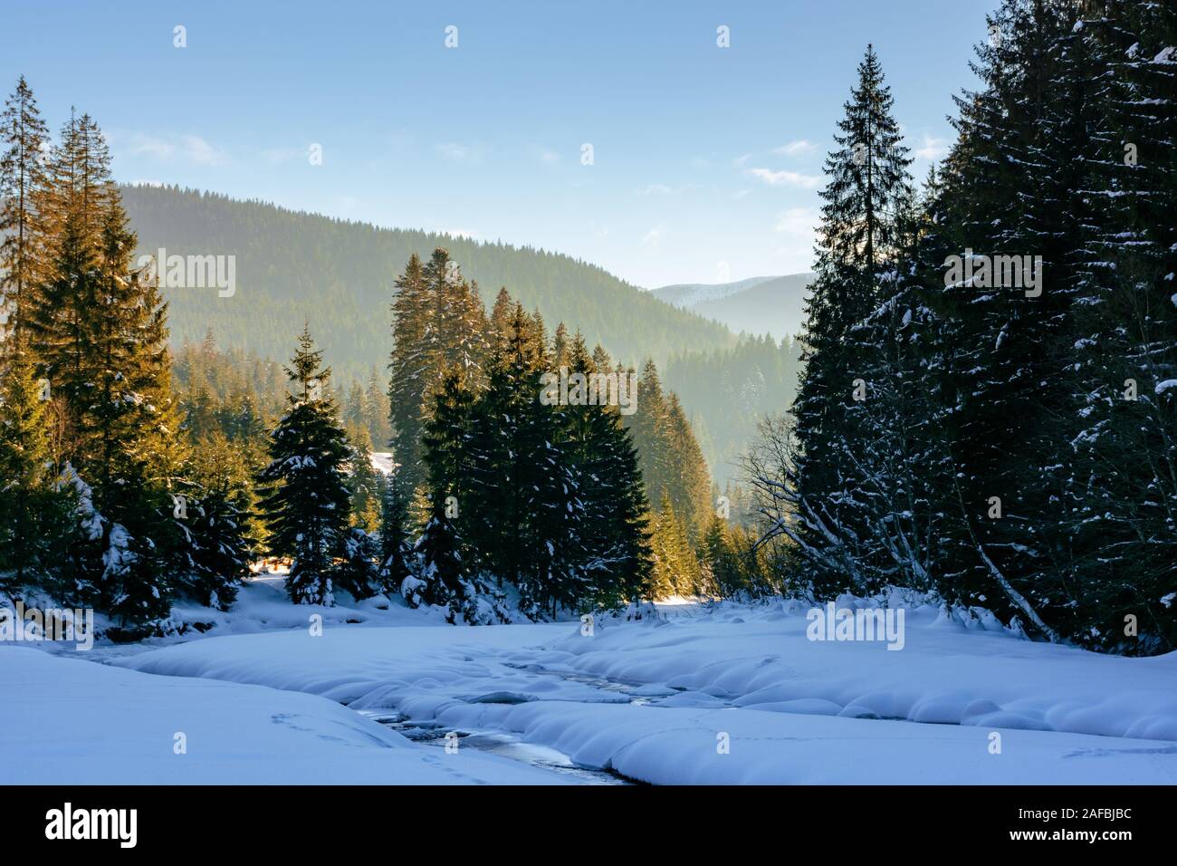 Gelé et recouvert de neige rivière de montagne des Carpates. paysage d'hiver dans la luminosité de l'après-midi. forêt de sapins sur la rive du fleuve. Banque D'Images