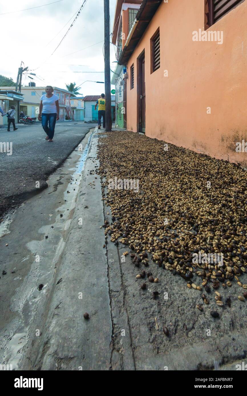 L'angle de l'image spectaculaire de séchage du café sur le trottoir sur la rue d'une petite ville de montagne en République dominicaine. Banque D'Images